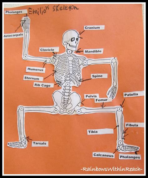 RainbowsWithinReach: October Skeletons: Kindergarten thru Elementary