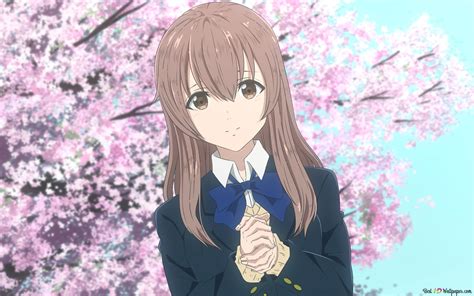 Shouko Nishimiya - A Silent Voice HD wallpaper download