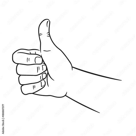 Sketch of thumbs up. Hand drawn vector illustration in line art style ...