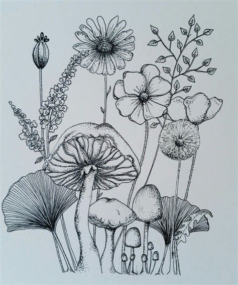 Pin by Corinne Smith Multhauf on Mushroom ᱫ | Wildflower drawing ...