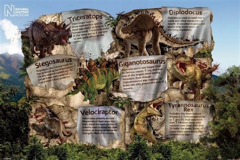 Natural history museum - dinosaur facts Poster - EuroPosters