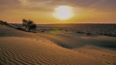 Desert National Park DNP: Sudasari & Great Indian Bustard