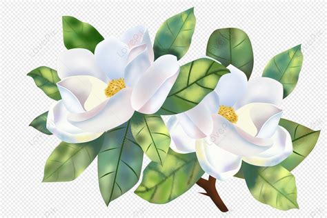 How To Draw A Gardenia Flower | Best Flower Site