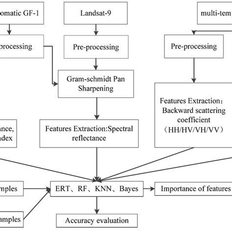 Methodological framework for mangrove species identification ...