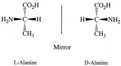 L-amino acids, key for the evolution of life came from extraterrestrial ...