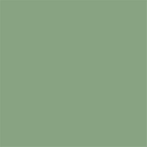 Sage Green Ombre Background