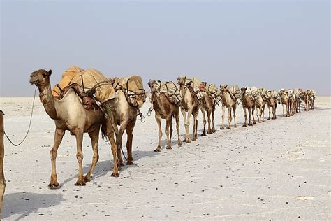 Where Is the Danakil Desert? - WorldAtlas