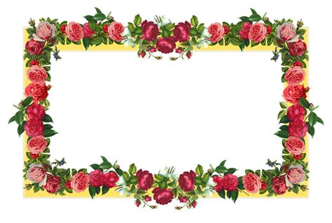 Rose Flower Border - Cliparts.co