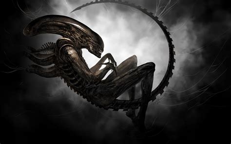 1024x768 resolution | Alien illustration, aliens, Xenomorph, artwork ...