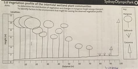 Abundance and Distribution - The Mangrove Ecosystem