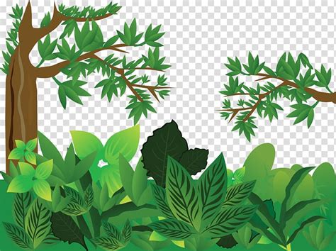 Green tree and plants , Forest Tree, jungle transparent background PNG ...