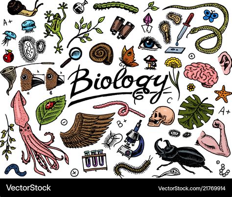 Scientific laboratory in biology icon set of Vector Image