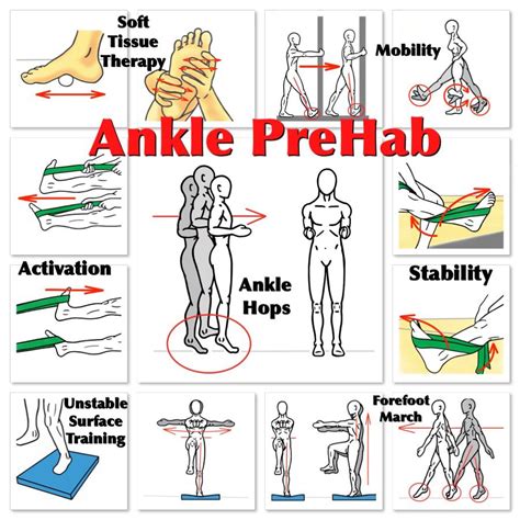 Printable Ankle Strengthening Exercises