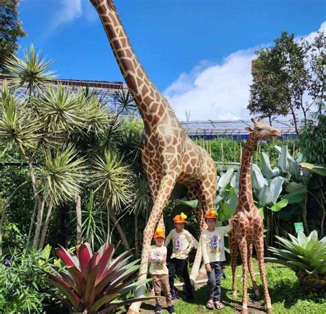 A Fascinating Journey to Lembang Park & Zoo - Wisata Diary