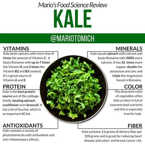 Benefits of Eating Kale (Food Science Review) - Mario Tomic