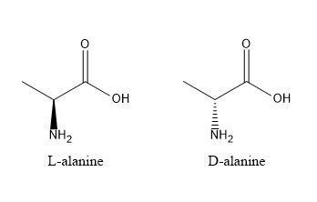 L-alanine and D-alanine \\ A. are present in virtually all protein B ...