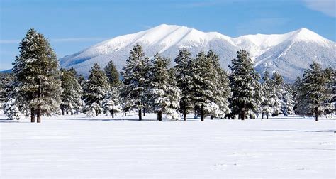 Flagstaff Arizona Camping | Campgrounds & RV Parks - AllTrips