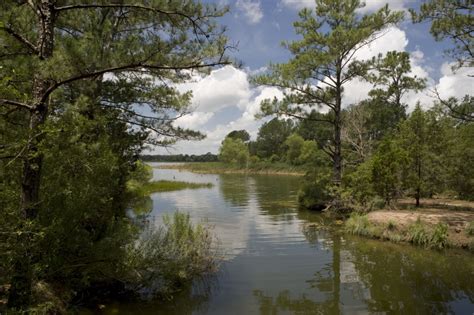 7 Reasons to Visit Bastrop, a Small Town with Big Texas Hospitality - R ...