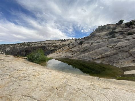 Photos of Upper Calf Creek Falls Trail - Utah | AllTrails