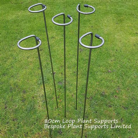 Garden & Outdoors 100cm or 130cm tall Metal Plant Supports Loop Stakes ...