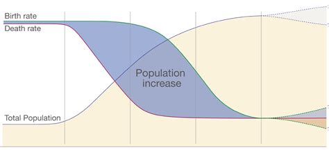 Demographic transition: Why is rapid population growth a temporary ...