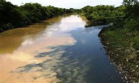 Sejumlah Sungai di Boltim Tercemar Logam Berat - BERITATOTABUAN.COM