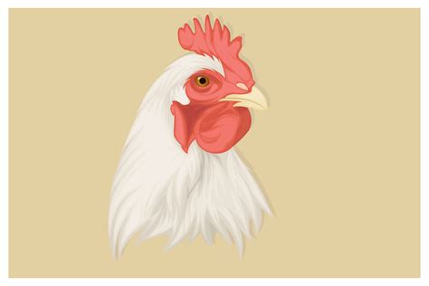 Realistic chicken hand drawing 1314276 Vector Art at Vecteezy