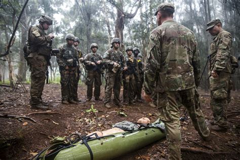 US soldiers train for jungle warfare in Hawaii rainforest | AP News