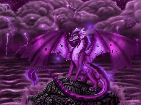 Purple Lightning Dragon