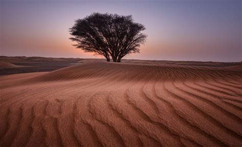 The Magic Of Desert Landscapes: Top Spots To Experience Sand And Sun ...