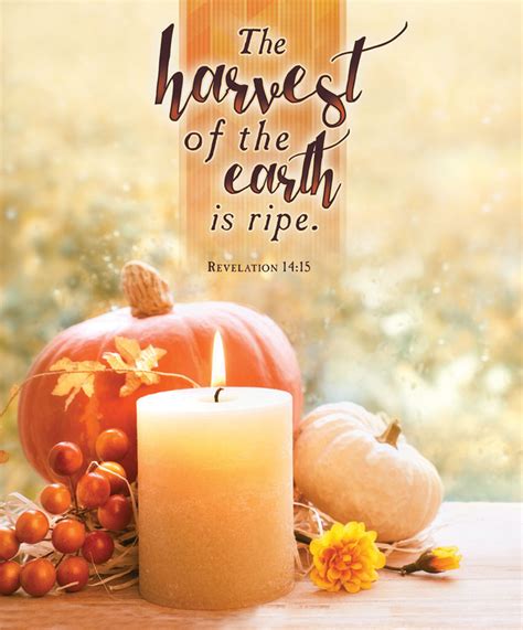 Church Bulletin 14" - Fall & Thanksgiving - The Harvest (Pack of 100 ...