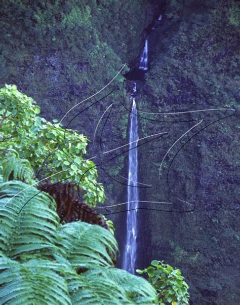 Waterfalls of Waipio Valley | Hawaiian Forest