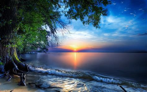 Nature Sea Sky Skyline Sun Tree Wallpaper, HD Nature 4K Wallpapers ...