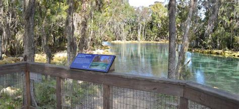 Protecting Three Sisters Springs | WaterMatters.org