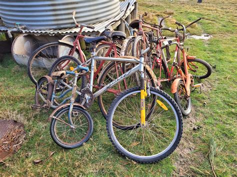 Lot 166 - Assorted Push Bikes | AuctionsPlus