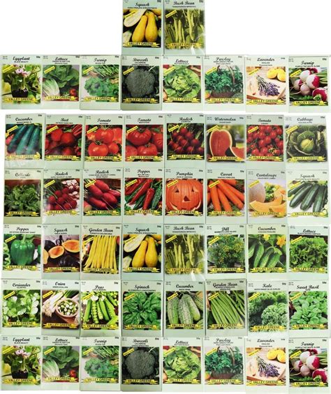 50 Packs Assorted Heirloom Vegetable Seeds 20+ Varieties All Seeds are ...