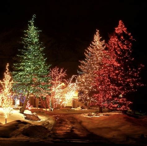 Top 10 Outdoor Christmas Lighting Ideas For Your House | Shine