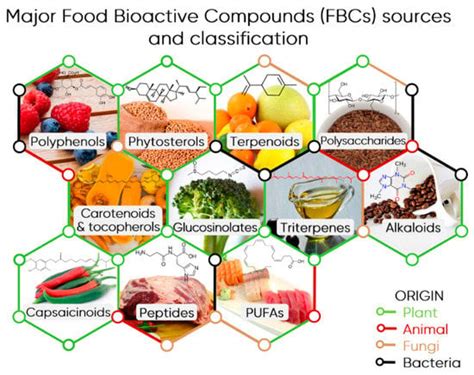 Polyphenols and Health | Encyclopedia MDPI