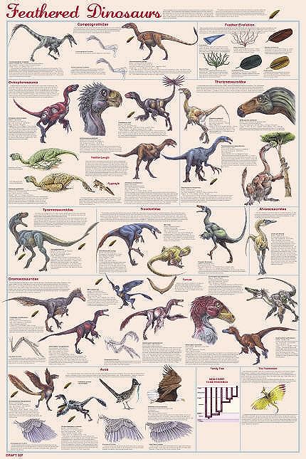 Feathered Dinosaur - A Comprehensive Study