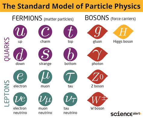 What Is The Standard Model of Particle Physics? : ScienceAlert