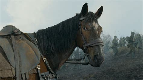 12 Emotional Scenes from the War Horse Movie