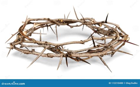 Crown of Thorns stock photo. Image of reflection, thorns - 112210488