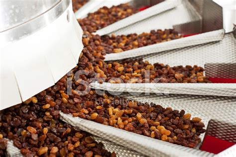 Raisins In Raisin Production Factory Packaging Stock Photo | Royalty ...