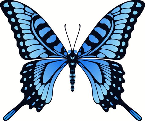 Butterfly Gif Image Art Collection at Best Animations