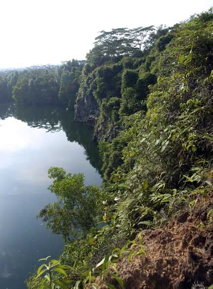 wildfilms: Kekek Quarry, Pulau Ubin