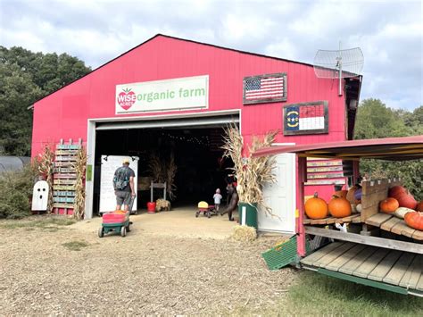 The Best Pumpkin Farms and Corn Mazes in the Charlotte Area To Visit ...