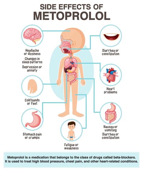 Premium Vector | Human anatomy diagram cartoon style of metoprolol side ...