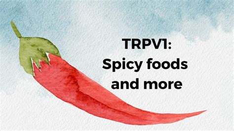 Spicy Foods Gene: TRPV1