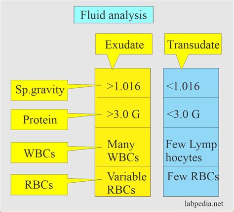 Fluid Analysis, Normal Findings of Various Body Fluids