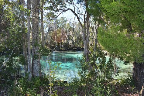 Hiking At Three Sisters Springs Photograph by Aimee L Maher ALM GALLERY ...